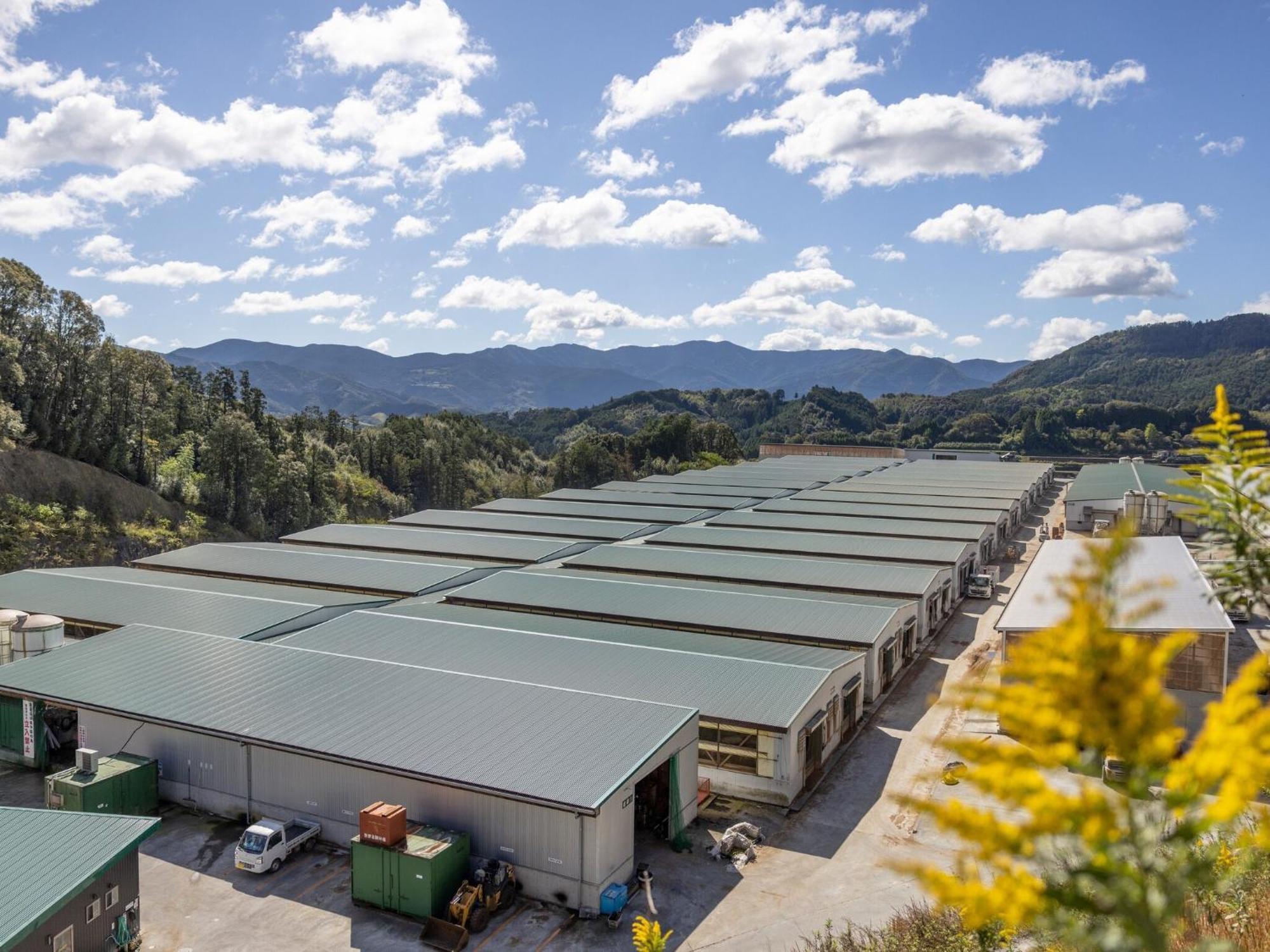 Hotel Taiyo Noen Nibancho Macujama Exteriér fotografie
